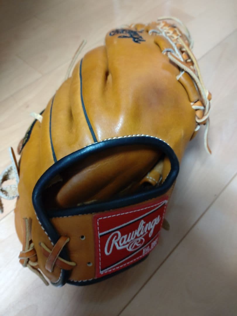 さかなくんローリングスグローブ