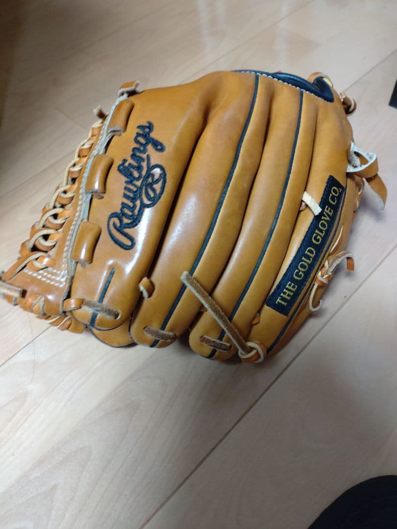 さかなくんローリングスグローブ