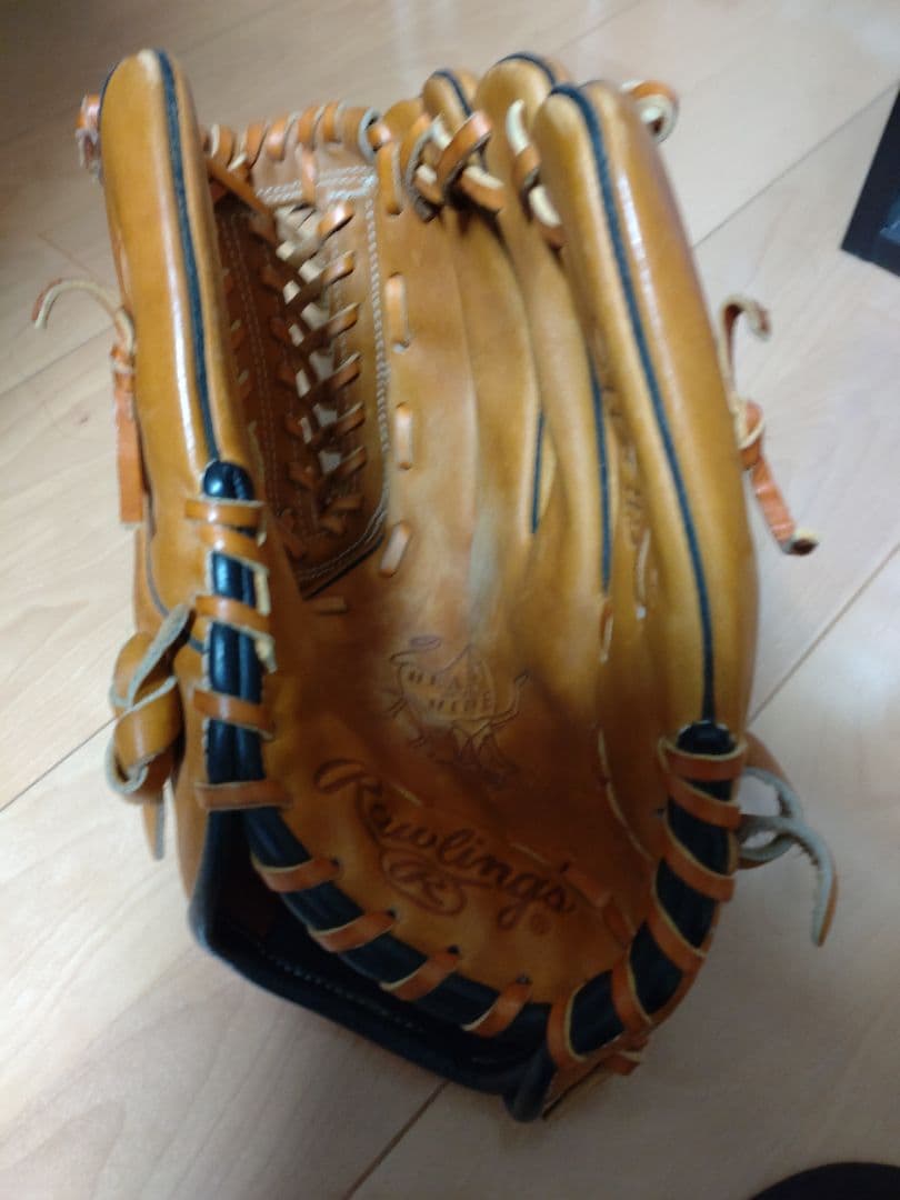 さかなくんローリングスグローブ