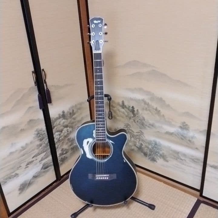 アコースティックギター 黒 ブラック　カスタム　Tay○or パールシェル製