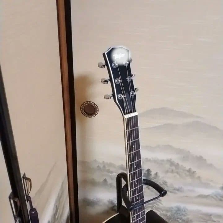 アコースティックギター 黒 ブラック　カスタム　Tay○or パールシェル製