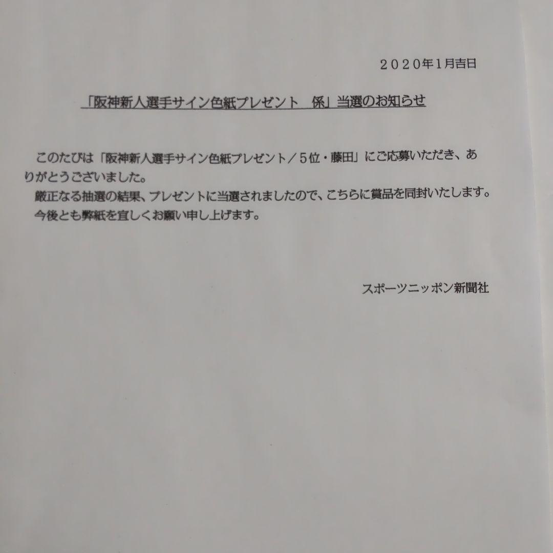 阪神タイガース  藤田健斗捕手  直筆サイン色紙