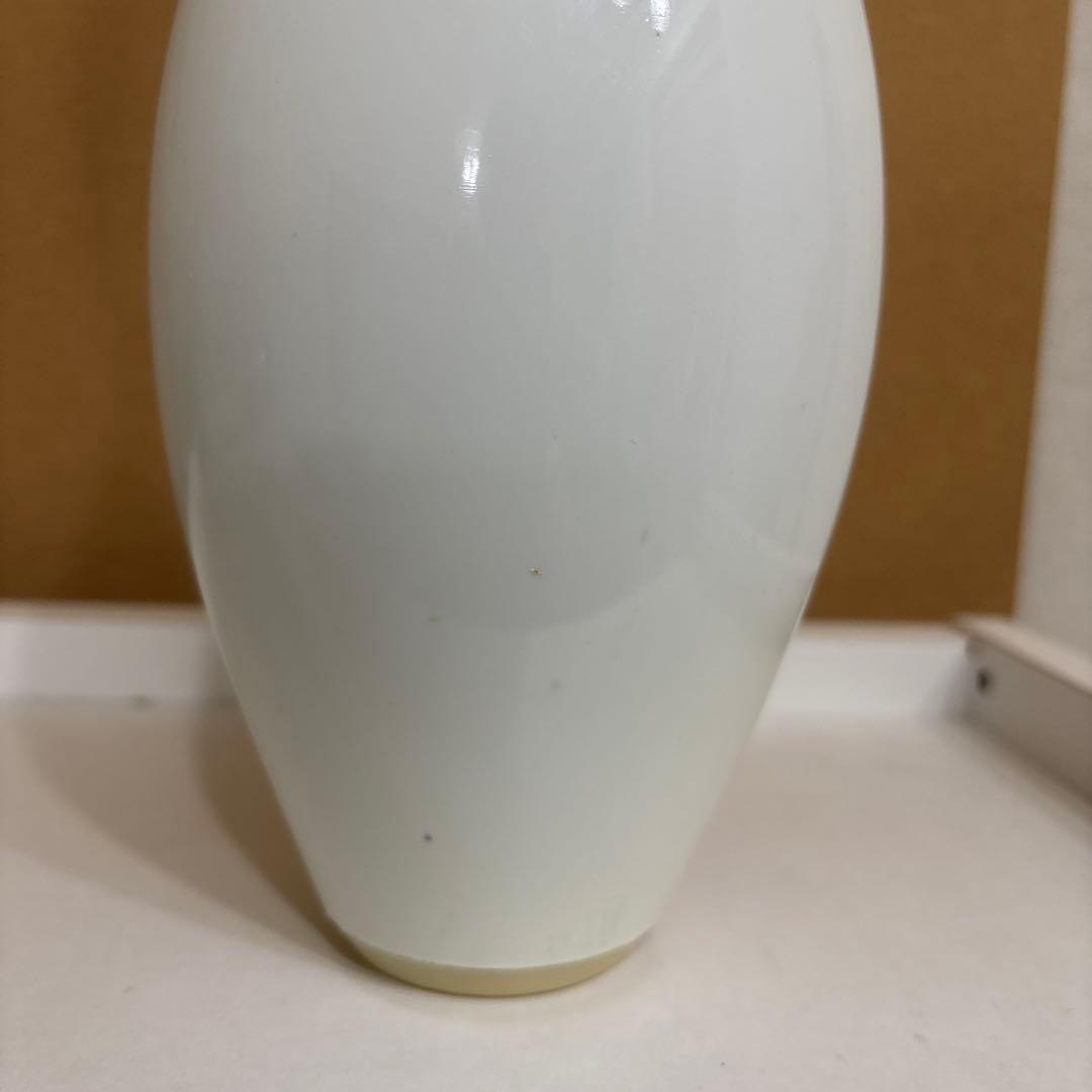 WIBC プラスチックコーティング ボウリングピン