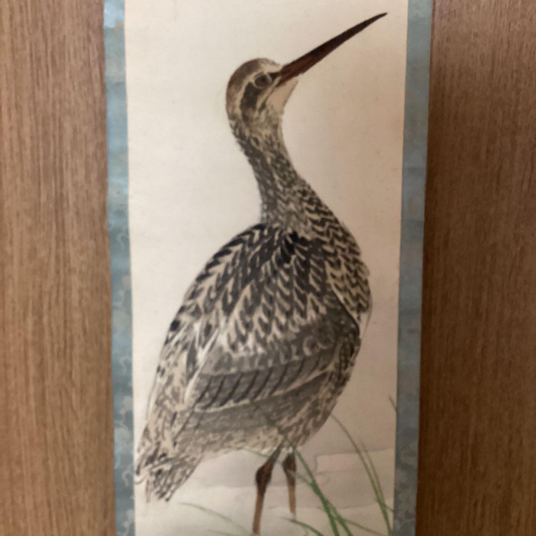 今井景樹　絹本彩色画　花鳥図【　三日月に鴫之図】　茶掛軸　タトウ箱 概良　332