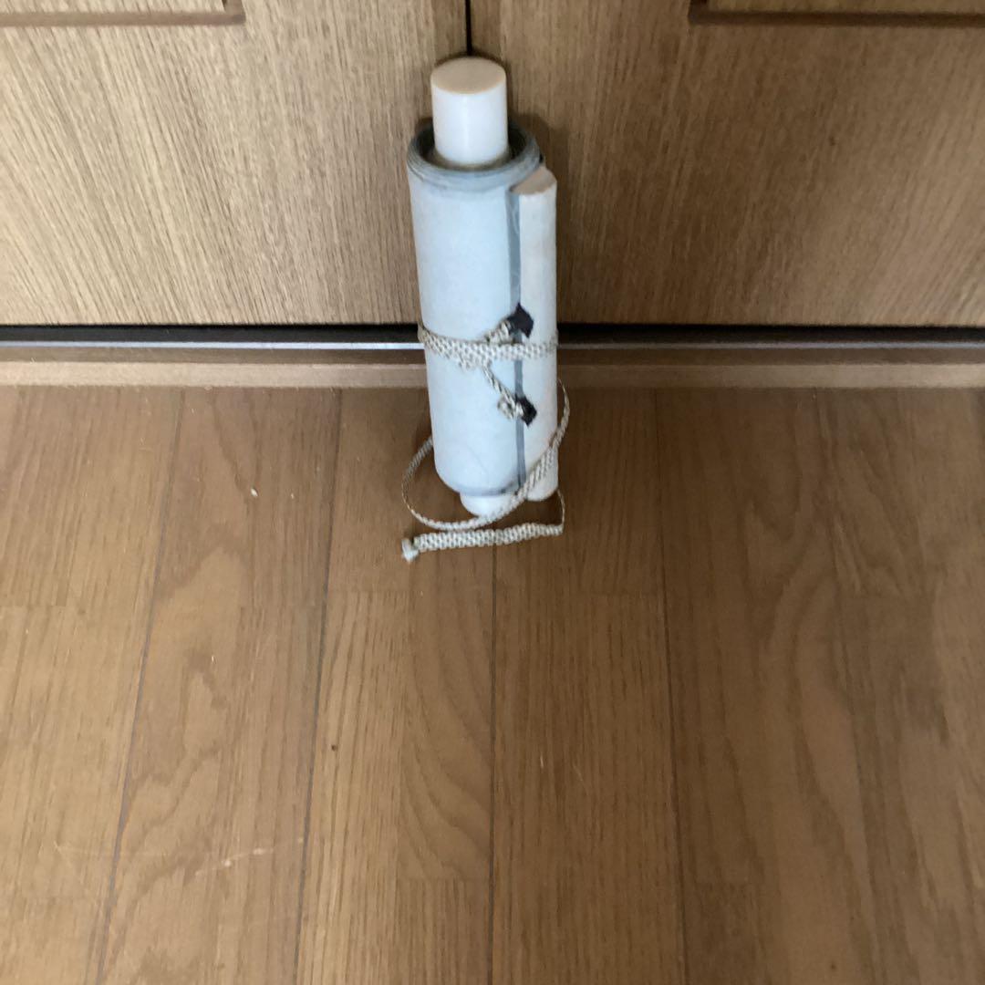 今井景樹　絹本彩色画　花鳥図【　三日月に鴫之図】　茶掛軸　タトウ箱 概良　332