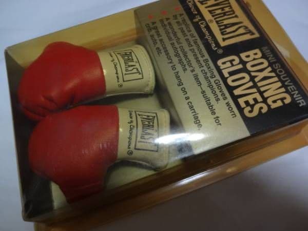 ボクシング エバーラスト・ミニグローブ Boxing MiniGlobe
