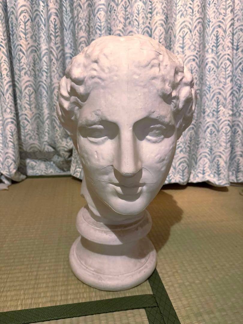 ラボルト　あばたのヴィーナス　石膏像　首像　デッサン