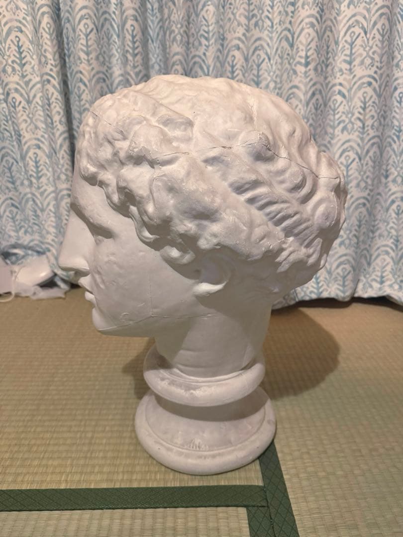 ラボルト　あばたのヴィーナス　石膏像　首像　デッサン