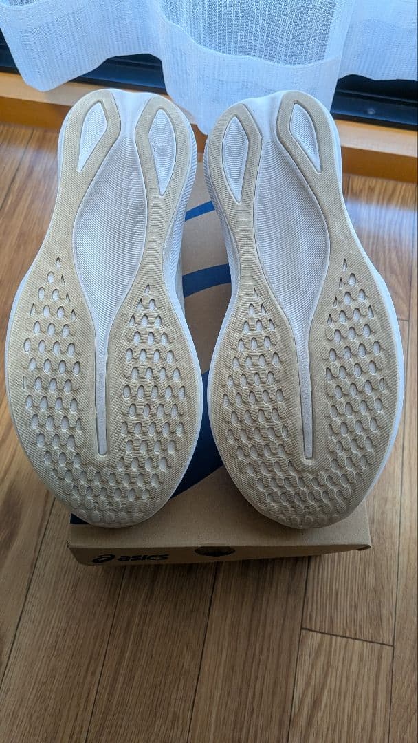 asics EvoRide Speed3　27.0