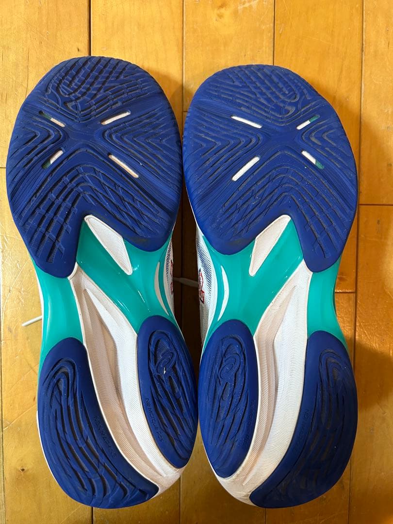 NETBURNER BALLISTIC FF 4 バレーボールシューズ　28.0