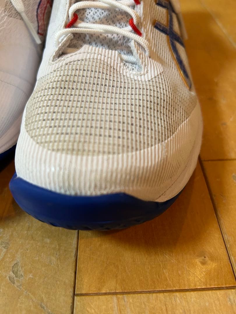 NETBURNER BALLISTIC FF 4 バレーボールシューズ　28.0