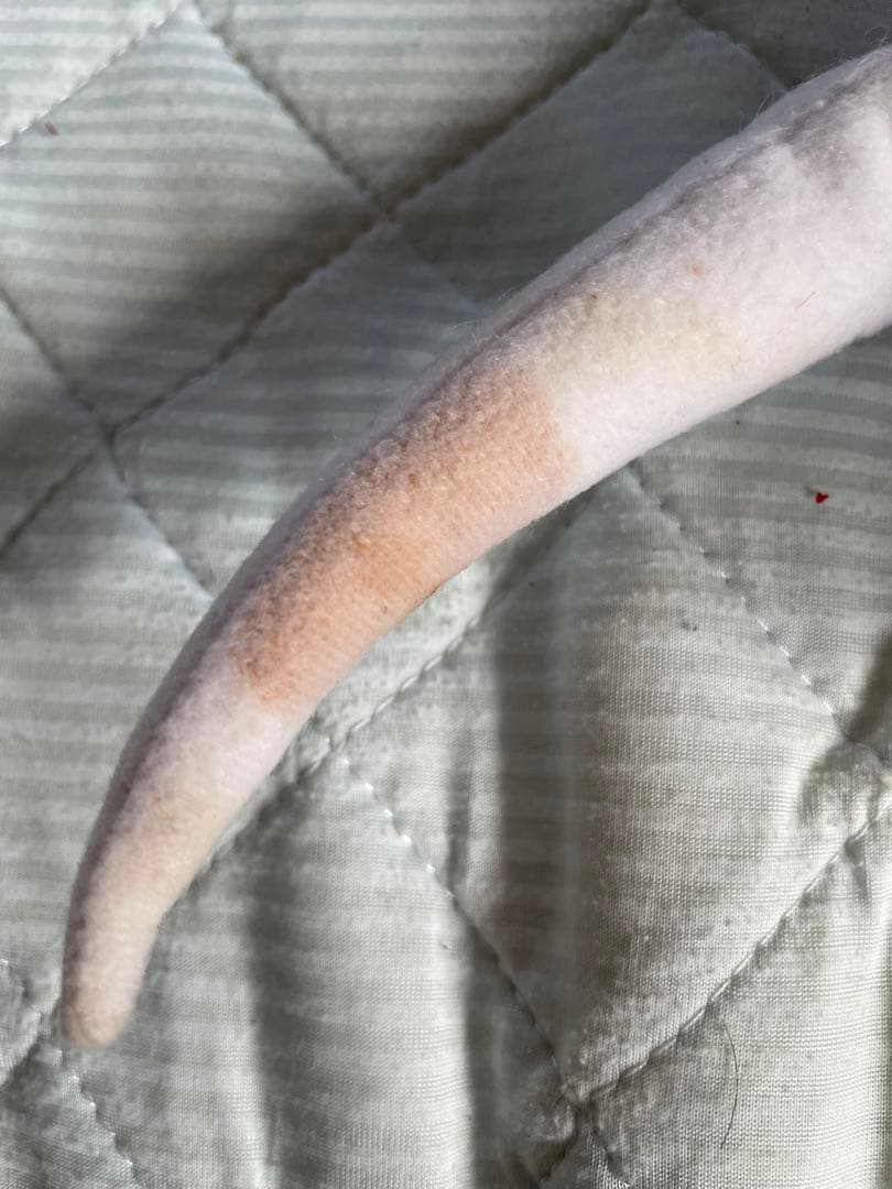 電脳戦機バーチャロン　フェイイン　ぬいぐるみ　SEGA