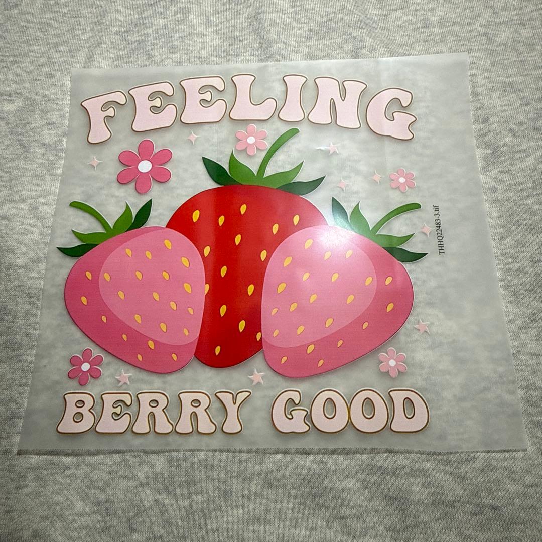 犬服.ラグランTシャツサイズ表確認用