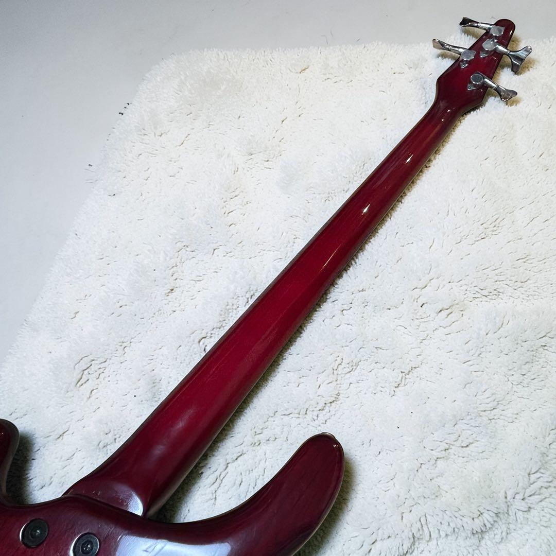 【国産ハイエンド】TUNE BASS MANIAC TB-standard AS