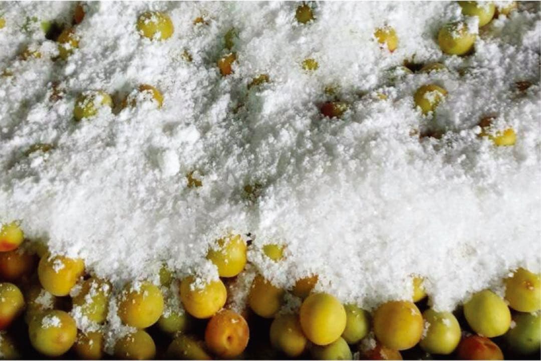 無添加かわあつ梅40kg白干し　10kg×4樽