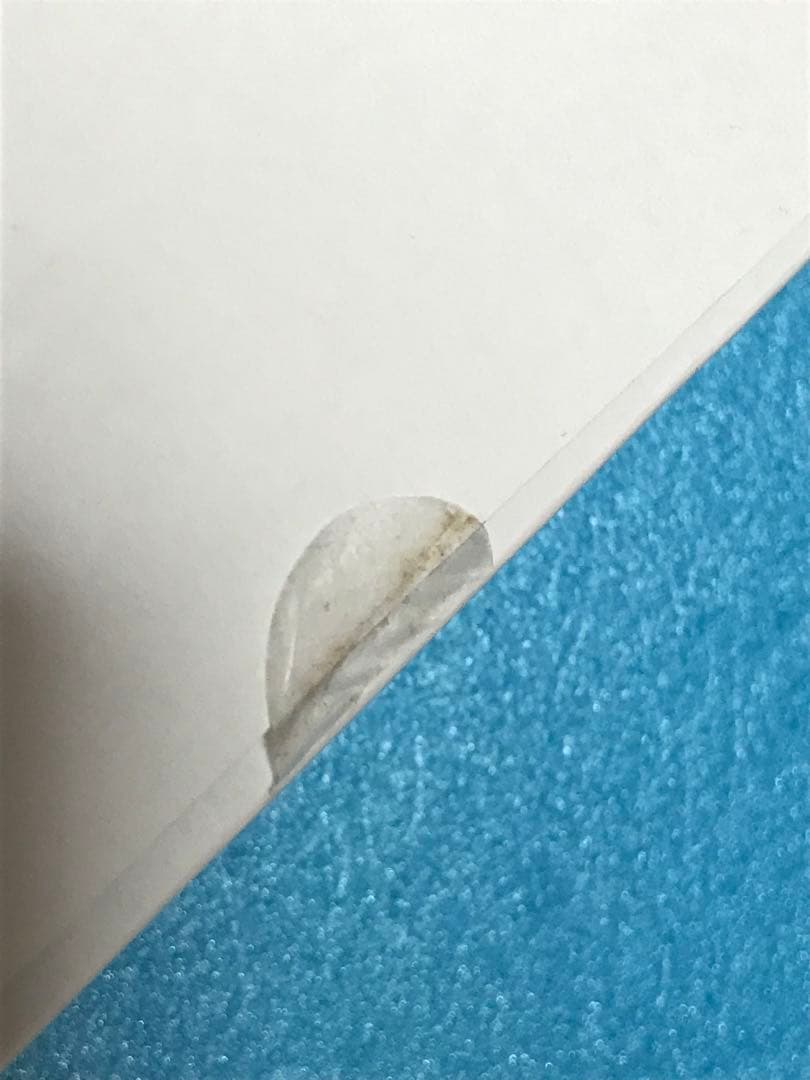 鬼滅の刃　アナザーカットバストアップアクリルパネル　冨岡義勇