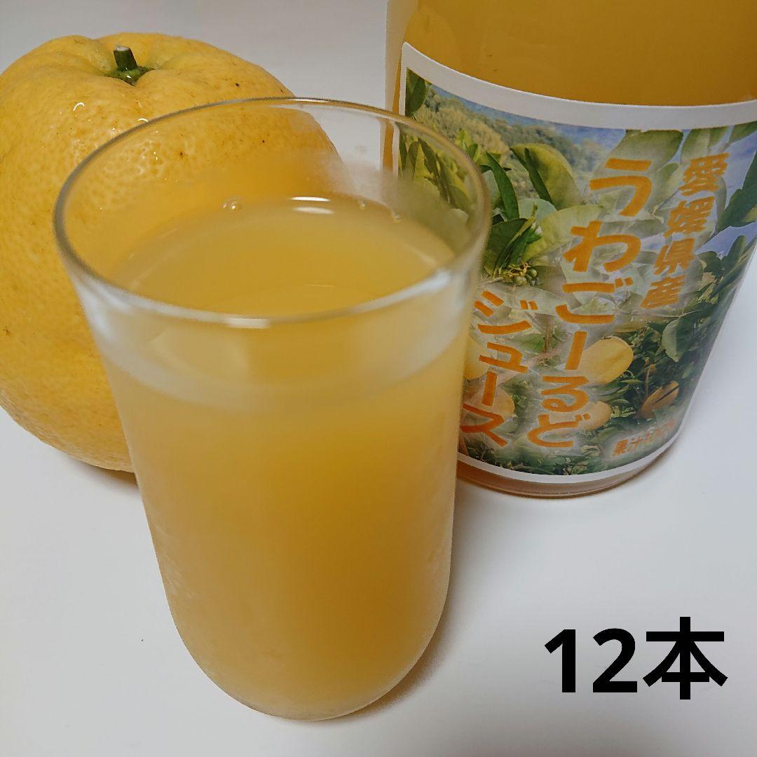 愛媛県産うわごーるど(河内晩柑)ジュース 720ml 12本セット
