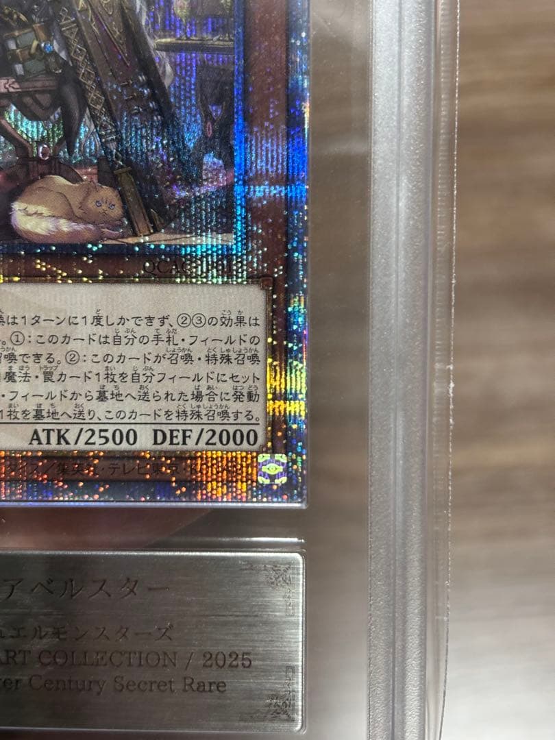 黒魔女ディアベルスター 25th