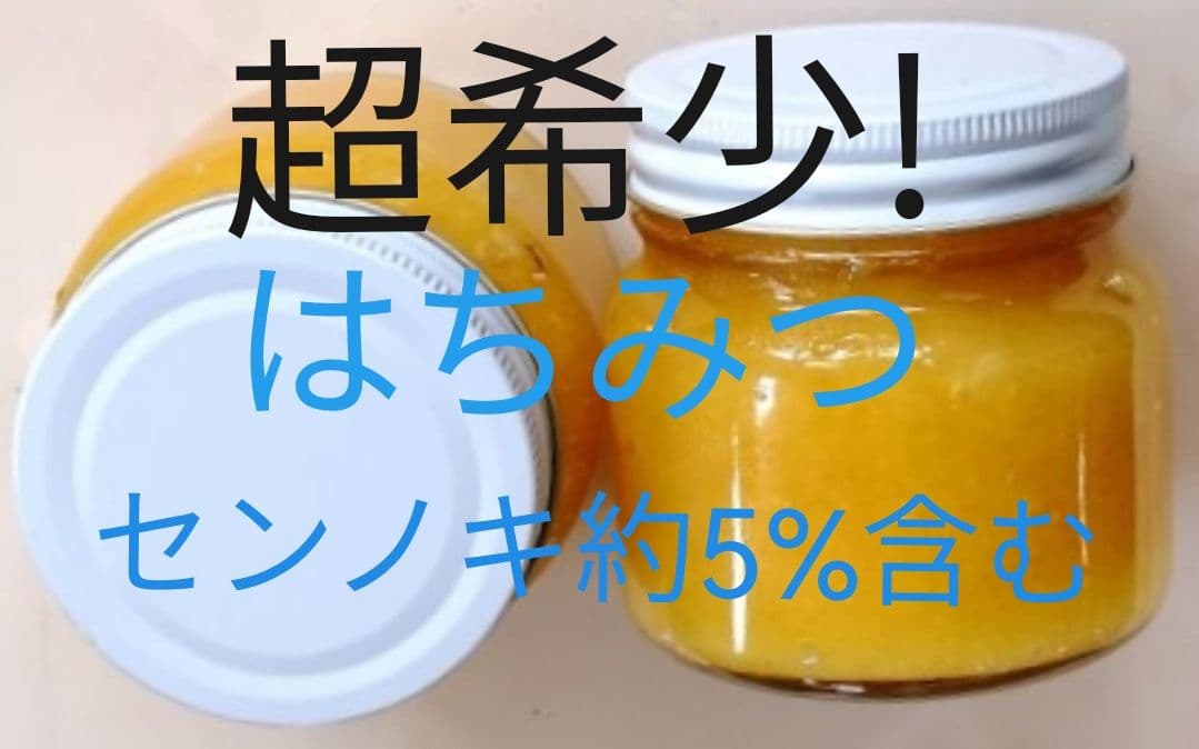 クオン　5キロ ぼだいじゅのはちみつ （リンデン蜂蜜）非加熱