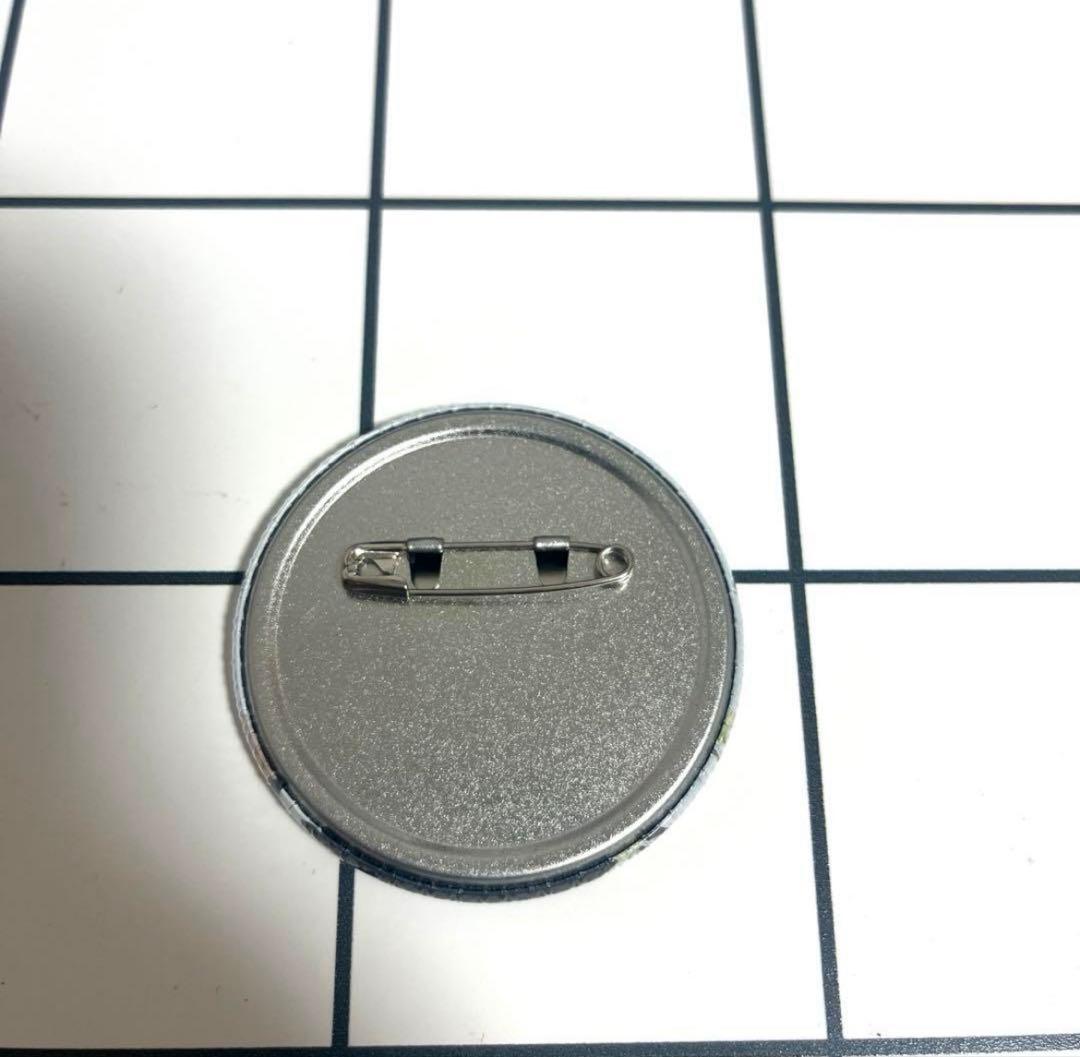 SEVENTEEN CAFE セブチカフェ 2024 缶バッジ ウォヌ30個