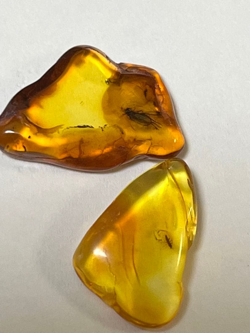 バルト海産　虫入り琥珀　12個セット　全て虫入り　本物保証　良いコンディション