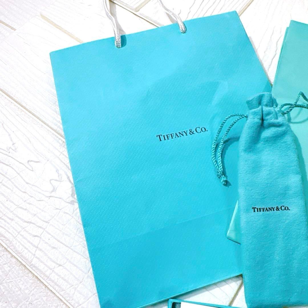 【TIFFANY & Co. 】【正規品】エレサペレッティボールペン 黒付属品付