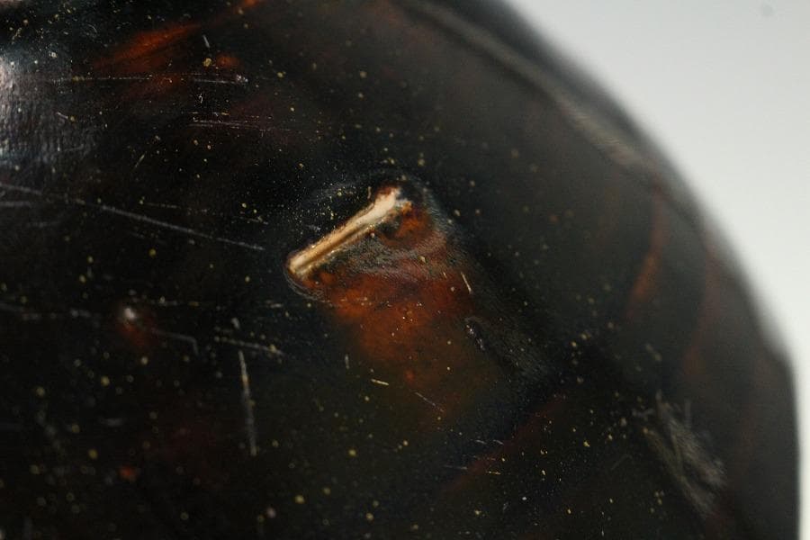 古美術 李朝 黒高麗 面取 蓋壷(K-A652)