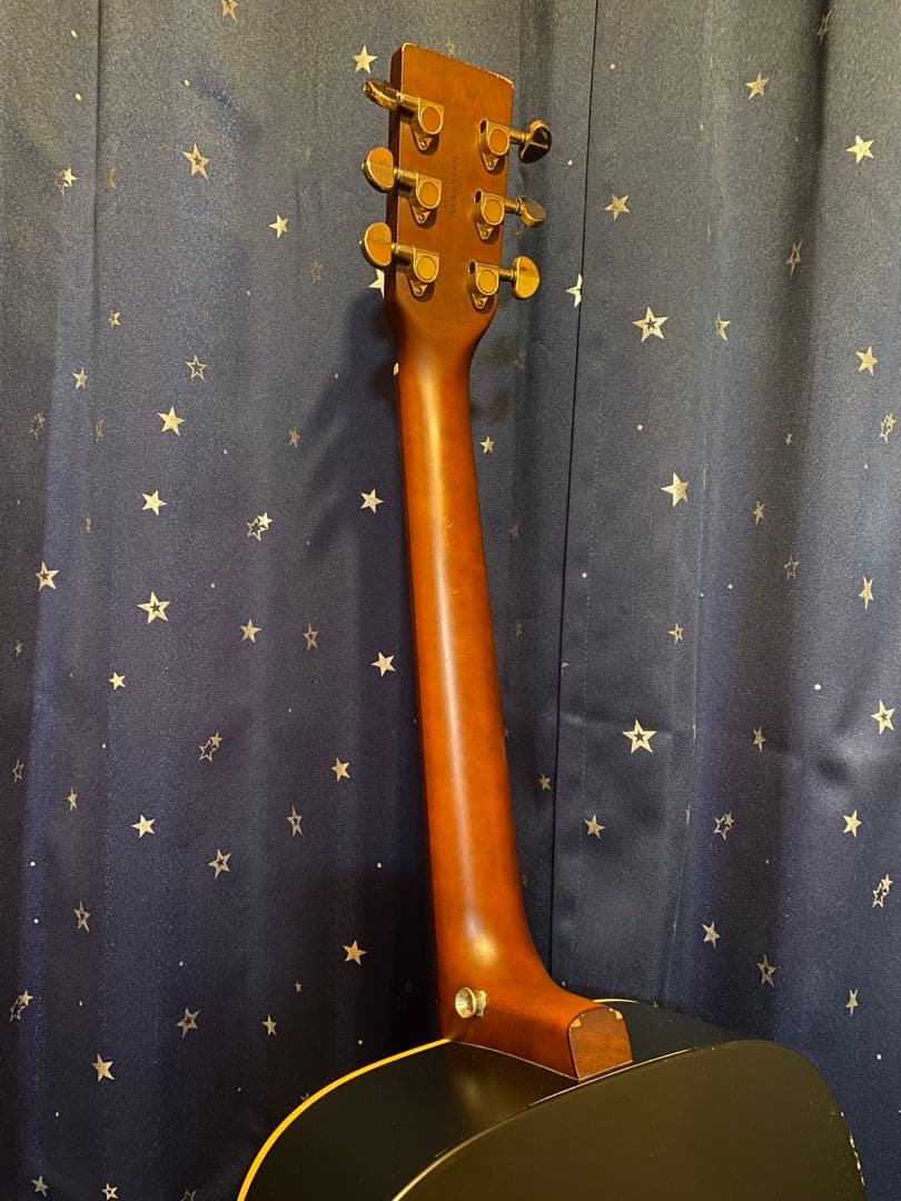 Art & Lutherie Wild Cherry (エレアコ仕様)