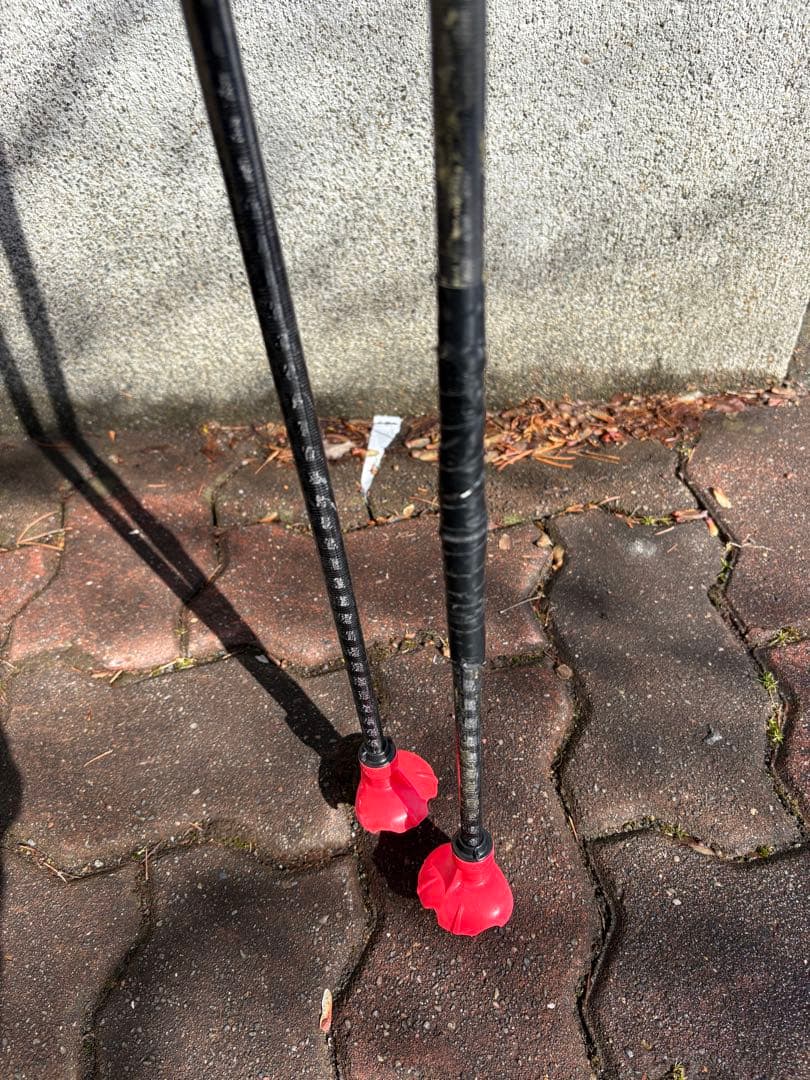 クロスカントリースキー　ポール