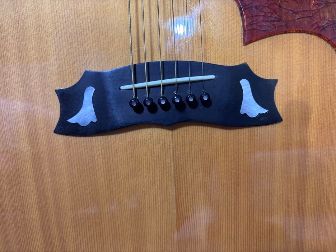 Morris MG-80オール単板 ジャパンビンテージ