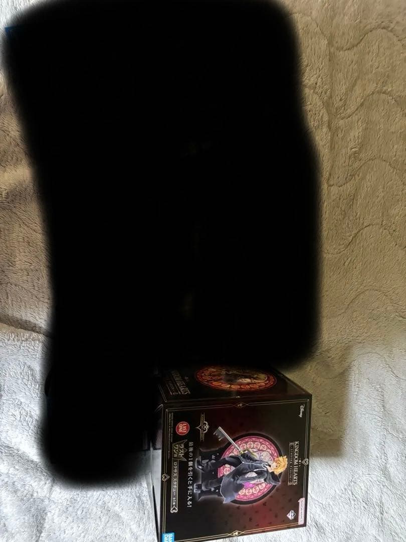 タケシキングダムハーツ　ラストワン賞　ロクサス