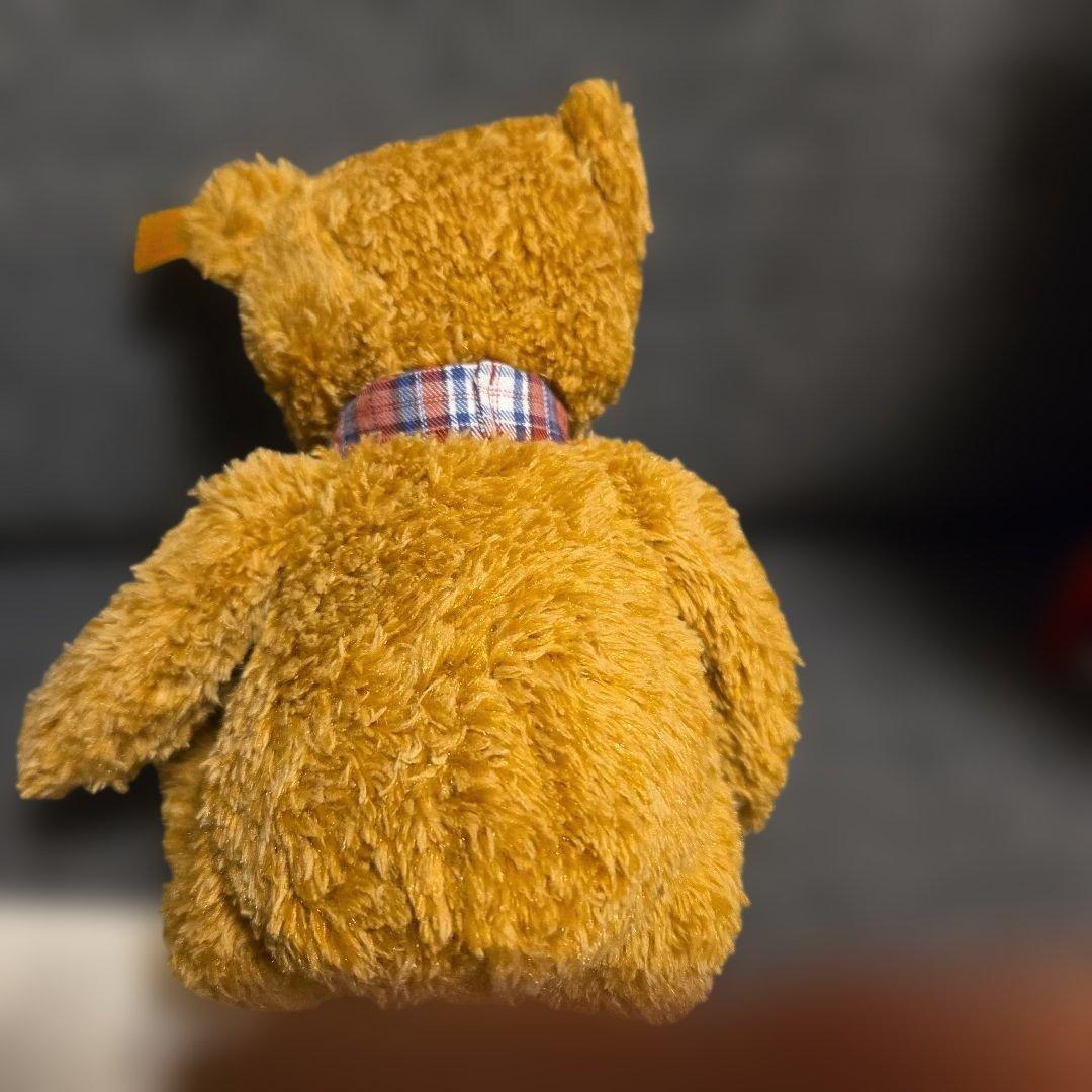 限定品 シュタイフ テディベア クリスマス Boxセット カルロ