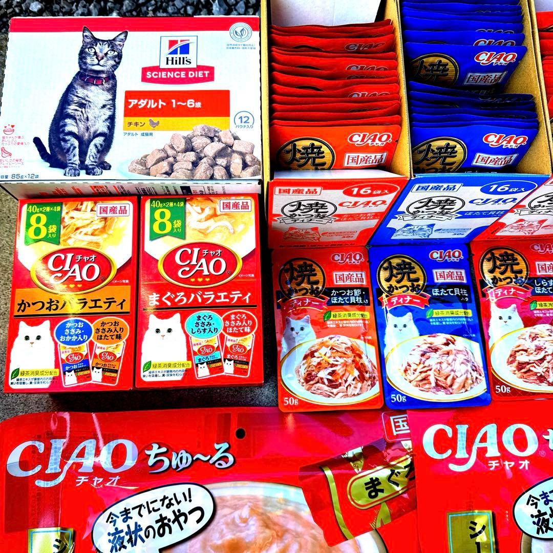 猫A 値下げしました！