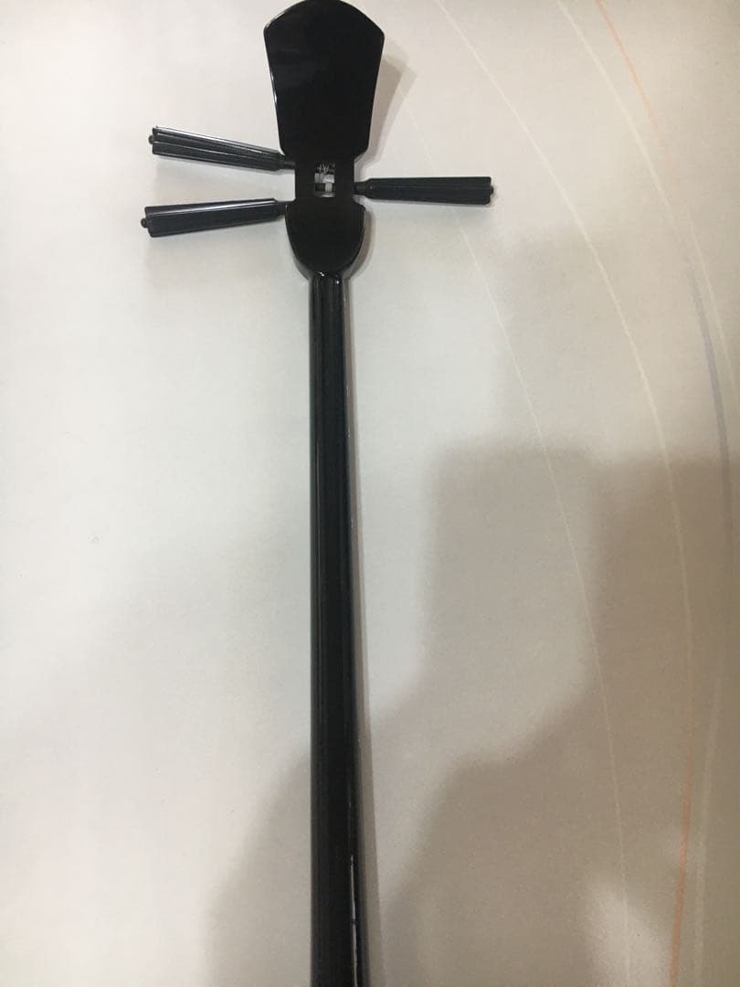 花柄で可愛い三線本体 ケース、教材付き