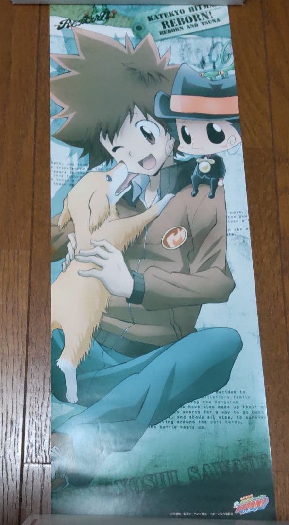 家庭教師ヒットマンREBORN！スティックポスター 13枚 まとめ売り