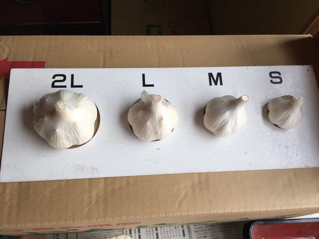 青森県産にんにくLサイズ5キロ