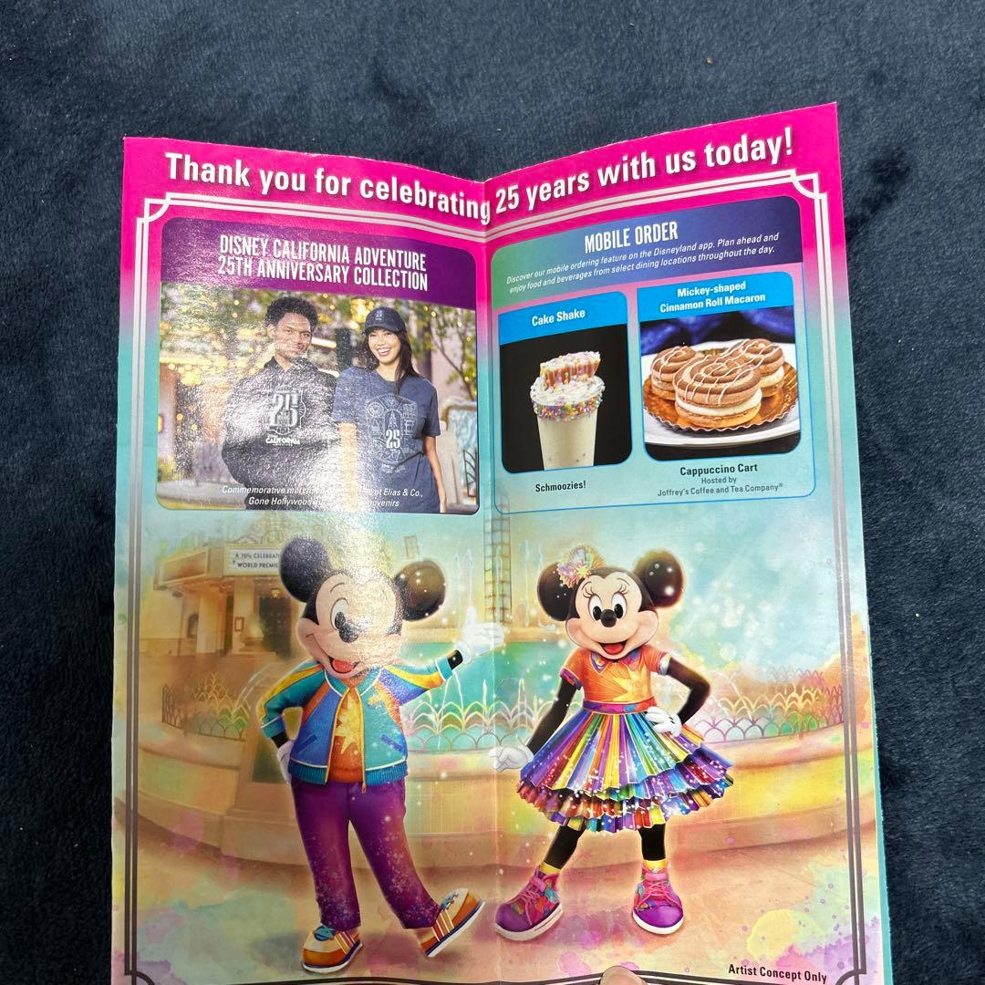 【限定パンフレット付き】カリフォルニアたディズニー　ポップコーンバケット