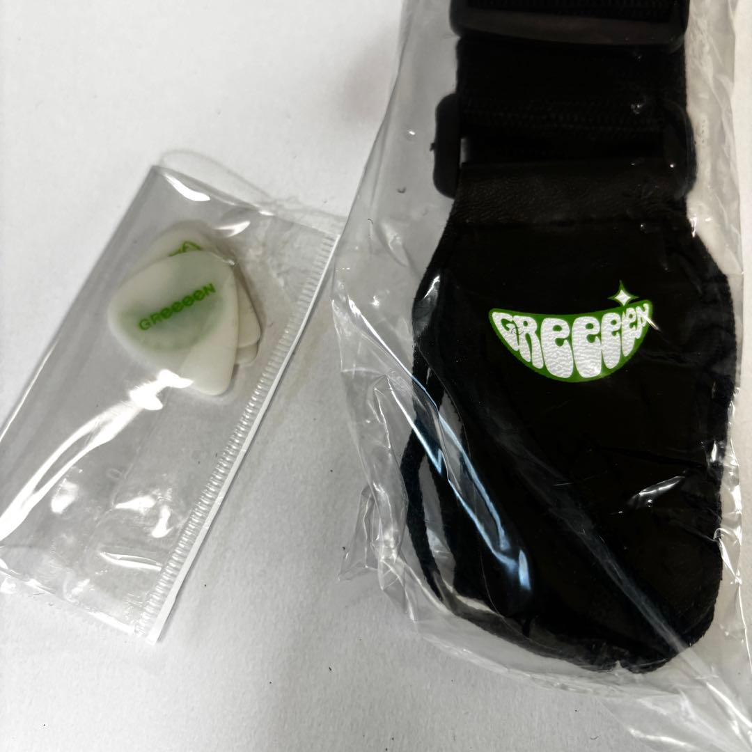 500本限定/レア美品★ GReeeeN Naviモデル　レスポール　ケース付属