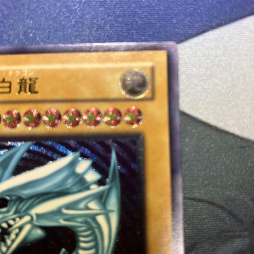 【青艶】青眼の白龍 レリーフ SM-51