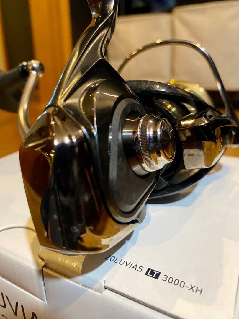 20ルビアス3000-XH