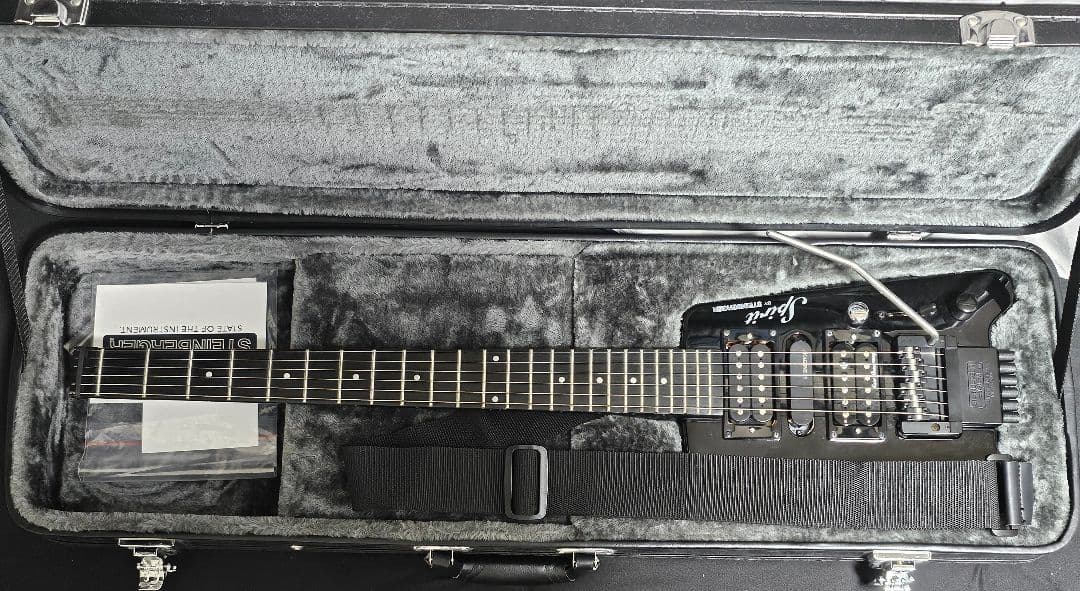 スタインバーガースピリット