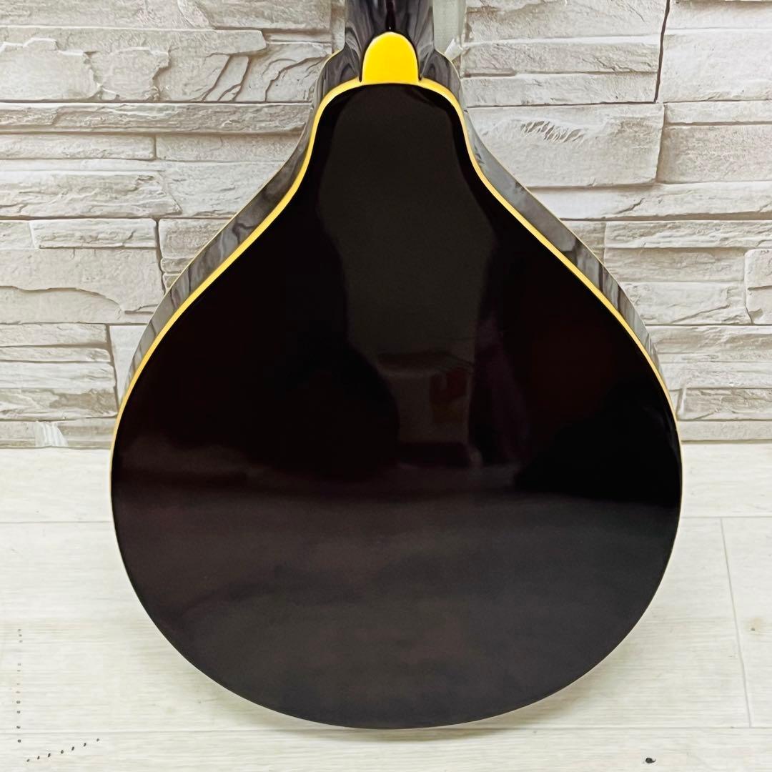 Samick サミック PU搭載 エレキフラットマンドリン