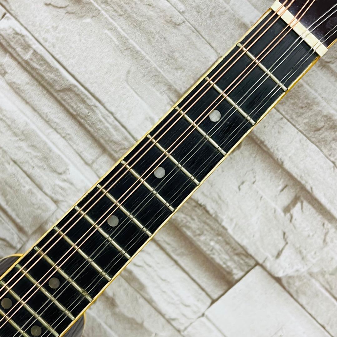 Samick サミック PU搭載 エレキフラットマンドリン