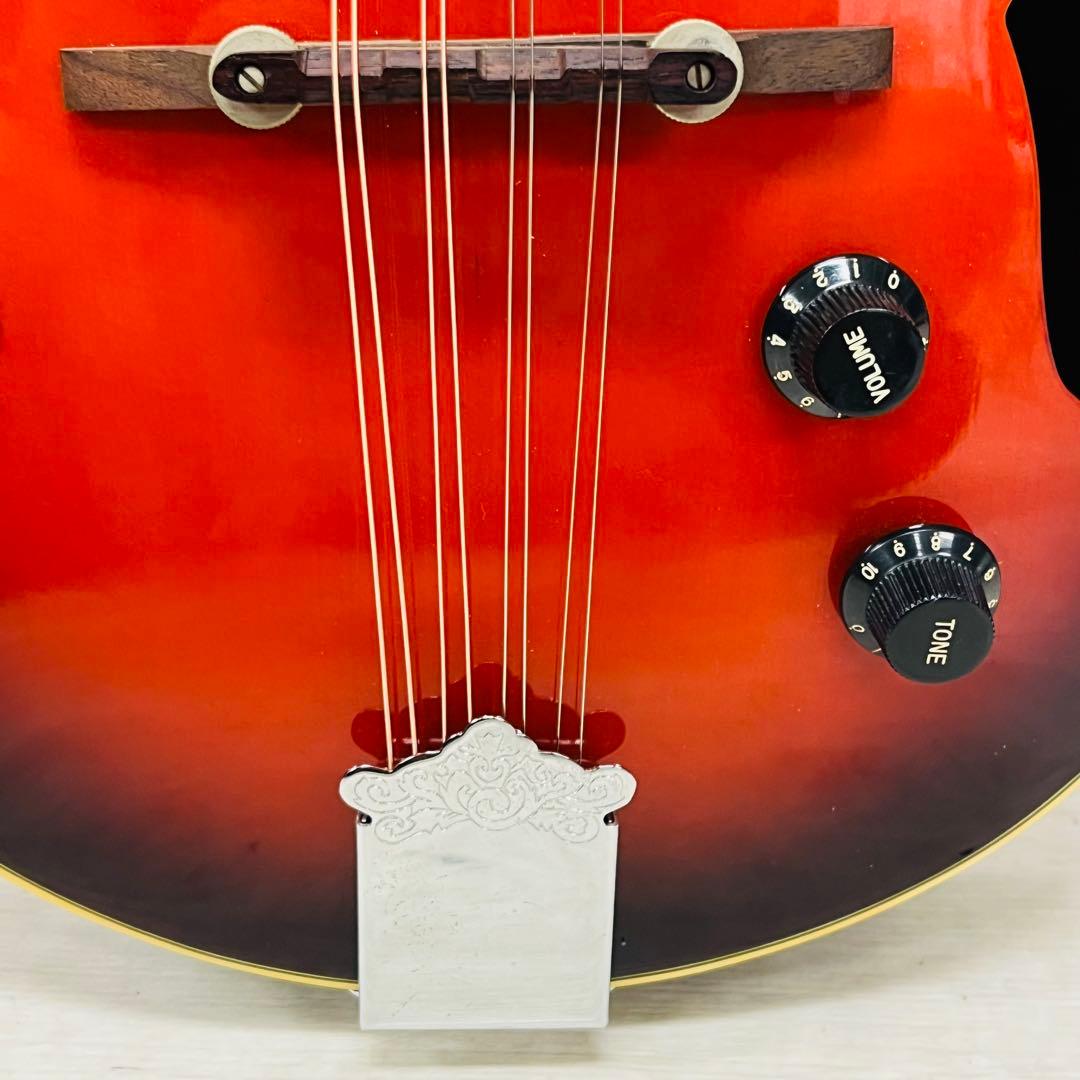 Samick サミック PU搭載 エレキフラットマンドリン