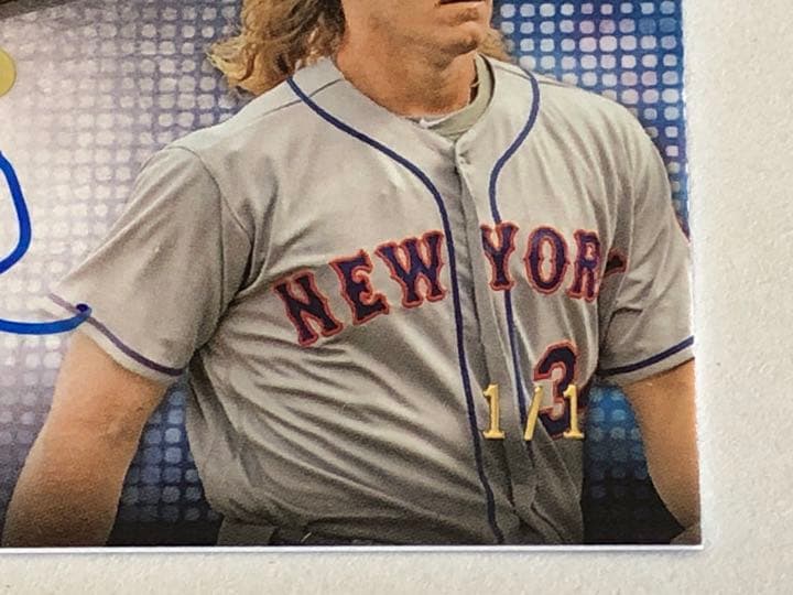 世界に1枚（1of1）ライアン&シンダーガード W直筆サイン 2017 トップス