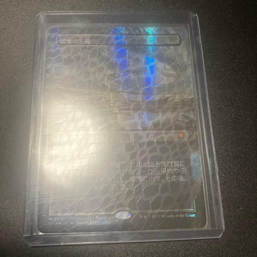 湿地の干潟　ドラゴンスケイルFOIL 日版