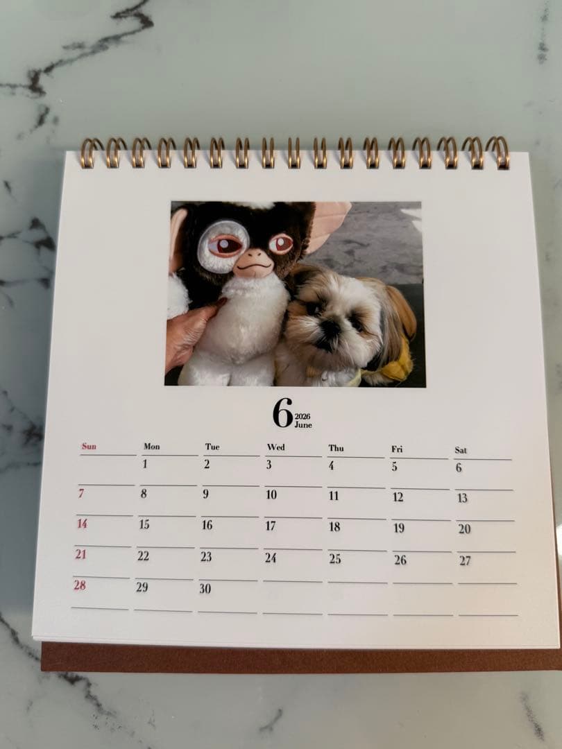 シーズーちくわの卓上カレンダー【オリジナル】