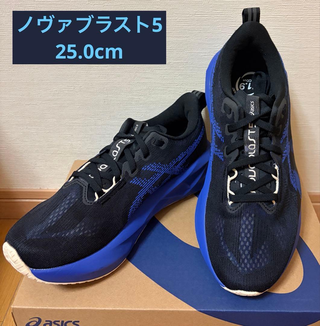 【使用1km】ASICS NOVABRAST5 ノヴァブラスト5 25.0cm