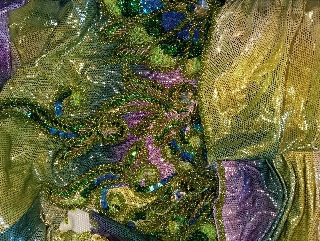 【新品Sale】人気デザイナーズベリーダンス衣装《孔雀》