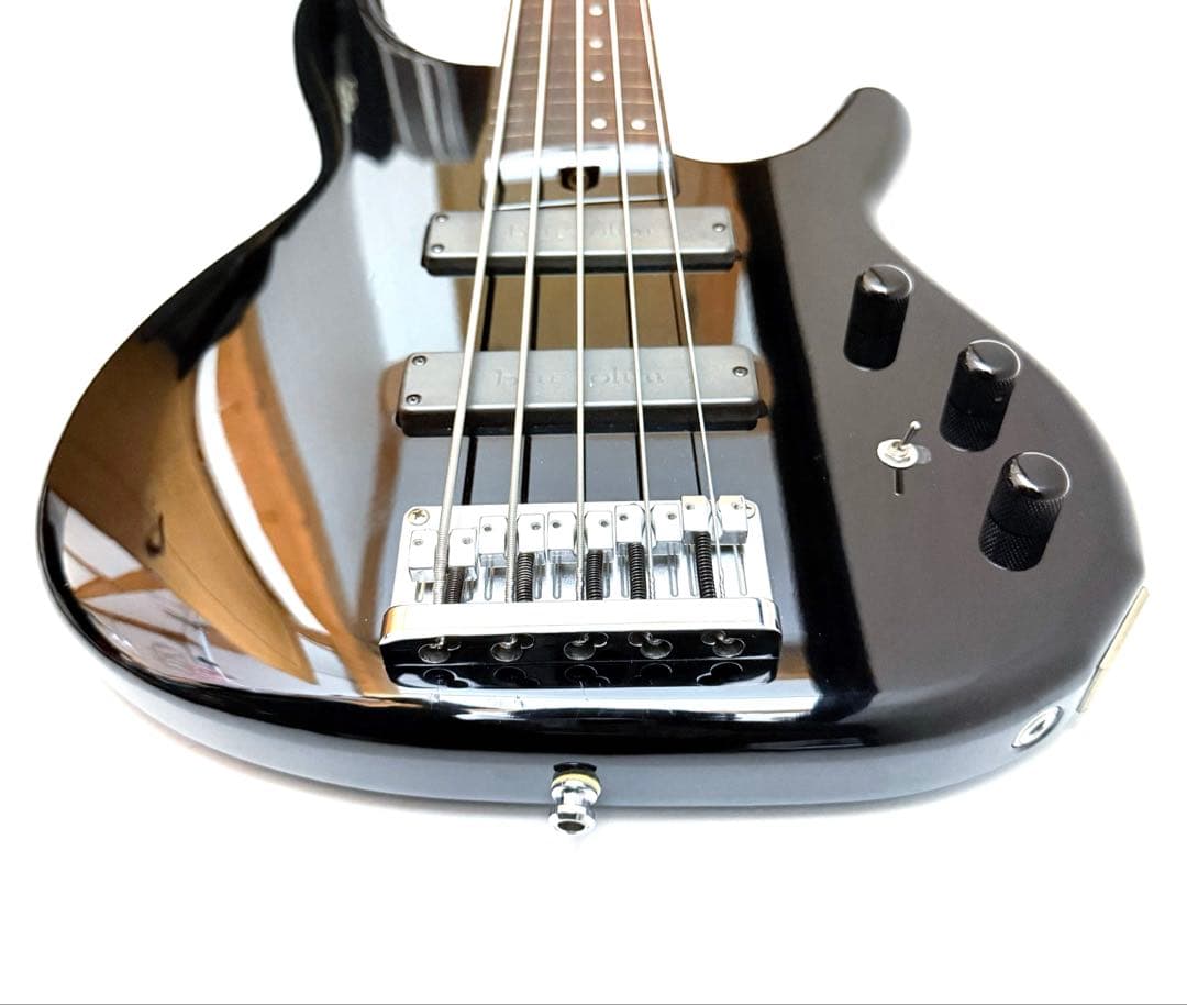 【希少】HEARTFIELD DR-5 カスタム 5弦ベース フレットレス仕様